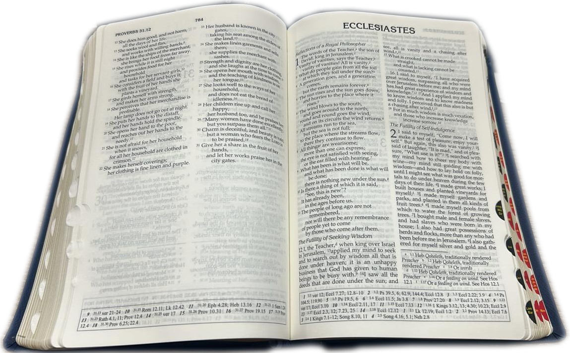 The Holy Bible – New Revised Standard Version (Leather PU with Golden Edge)