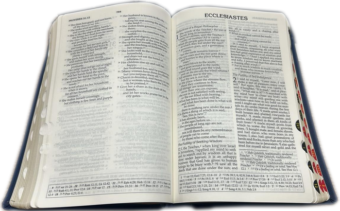 The Holy Bible – New Revised Standard Version (Leather PU with Golden Edge)