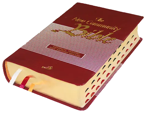 The New Community Bible | Gift Edition Deluxe | Standard | Leather | Thumb Index | Golden Edge | Red