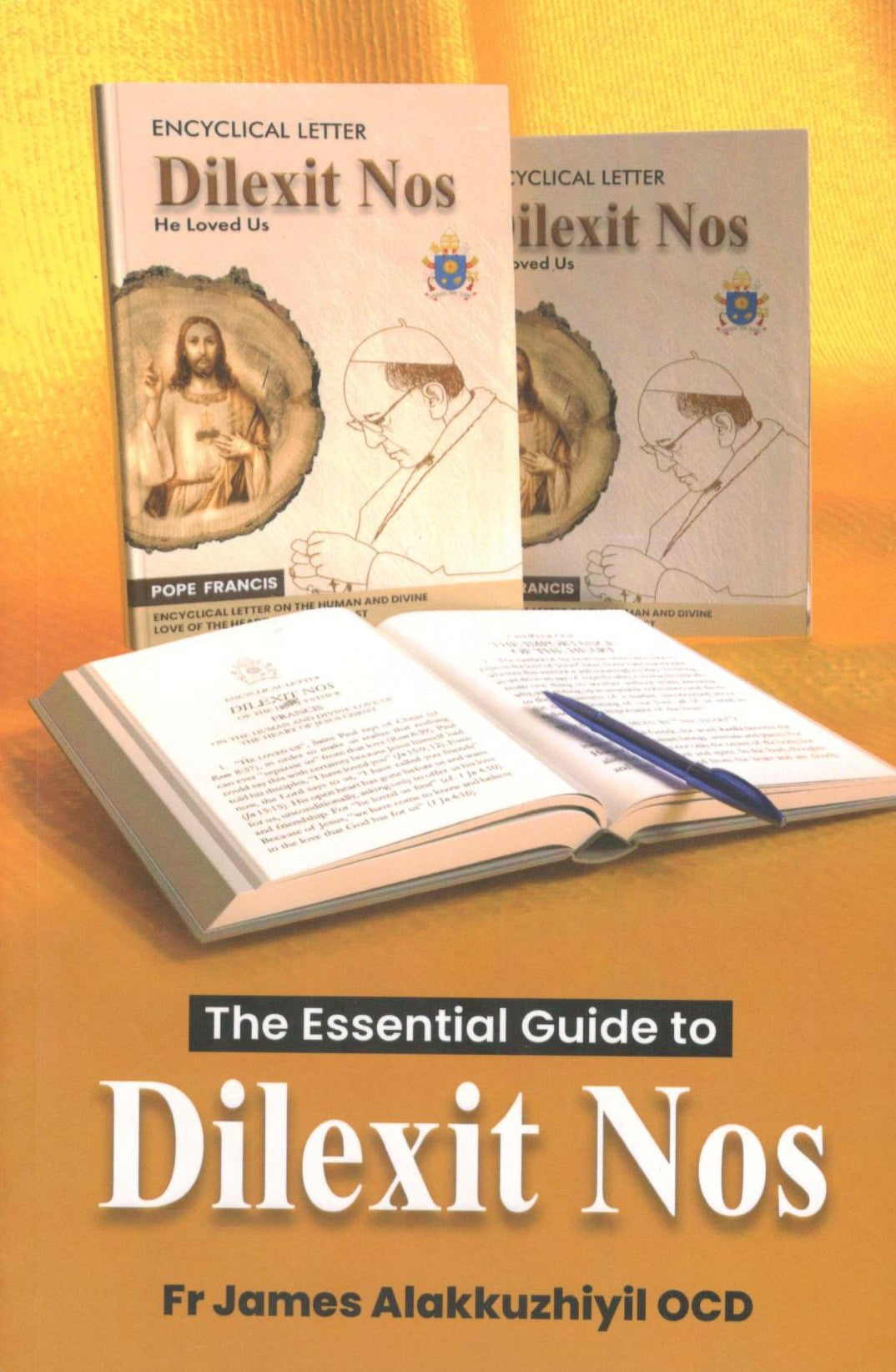 The Essential Guide to Dilexit Nos
