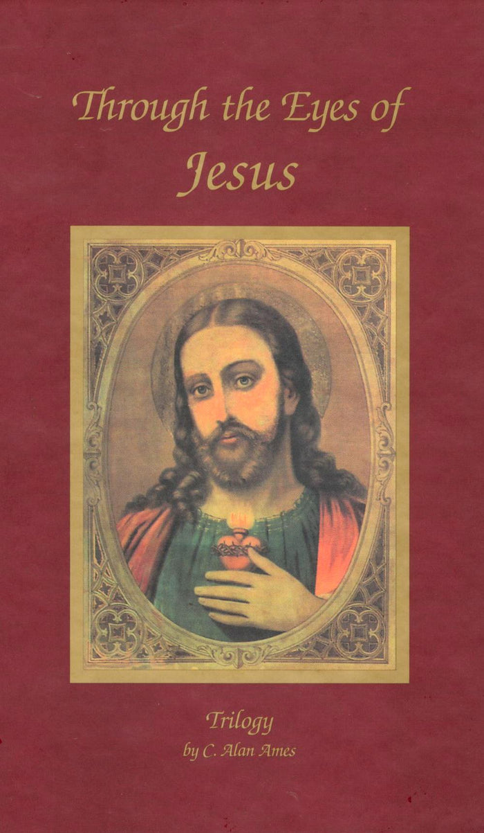 Through the Eyes of Jesus