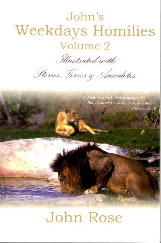 John's Weekdays Homilies (Vol.2)
