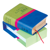 Christian Community Bible (CCB-6002)